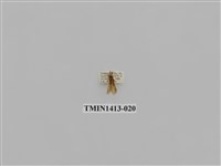 藏品(夜蛾科)的圖片